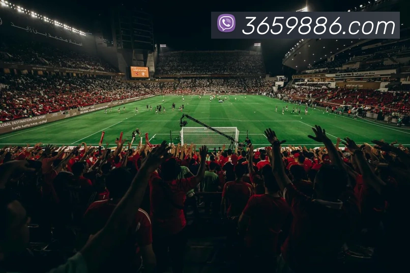 对战数据统计